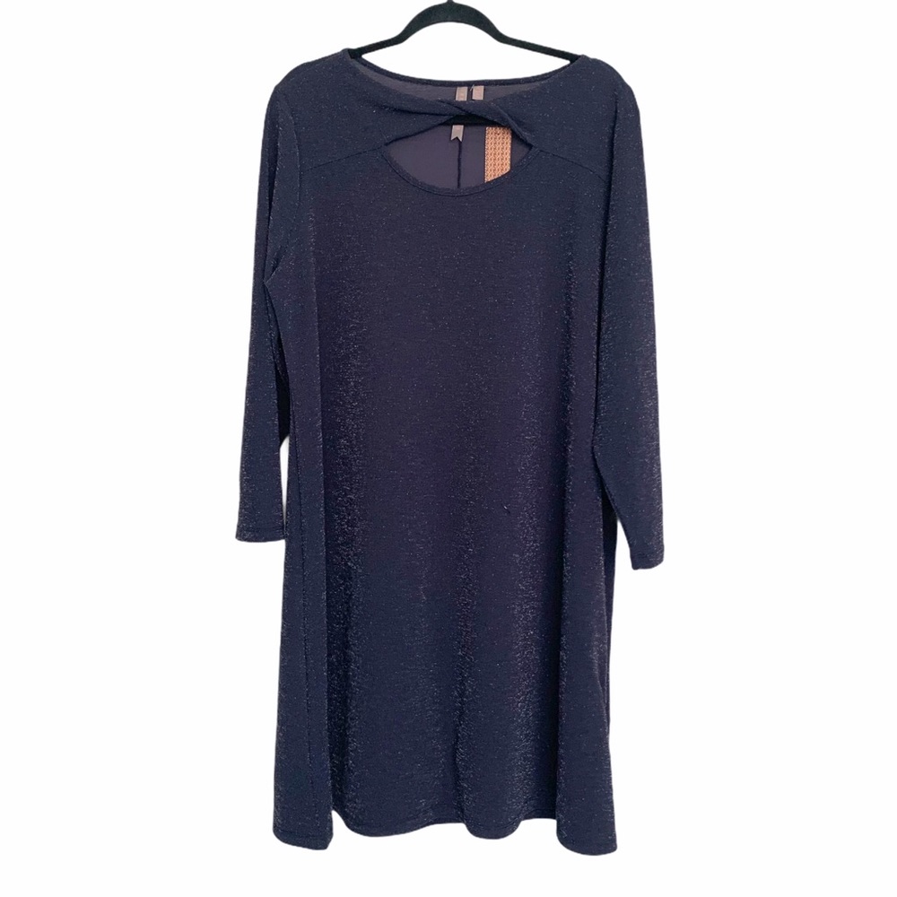 NWT Brina & Em sparkly longsleeve dress 2X